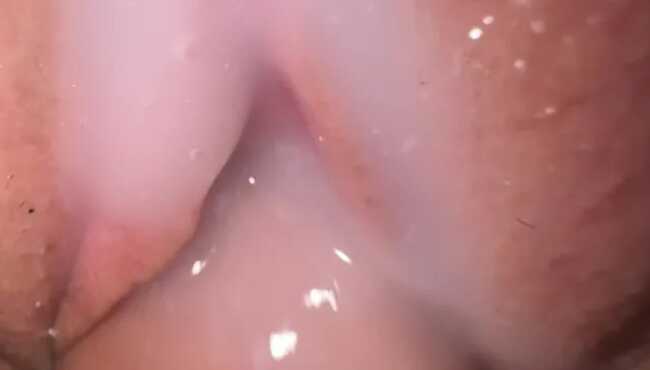 Katta shirin eshak video