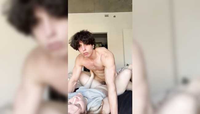 Yalangoch qizlar mushuklarini qirqishadi